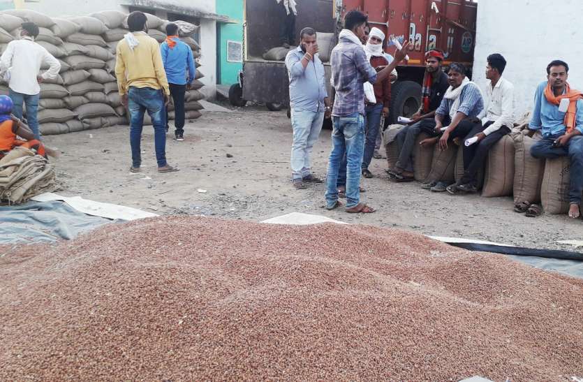 gram buying center चना खरीदी केंद्र में किसानों से अधिक राशि वसूलने का आरोप