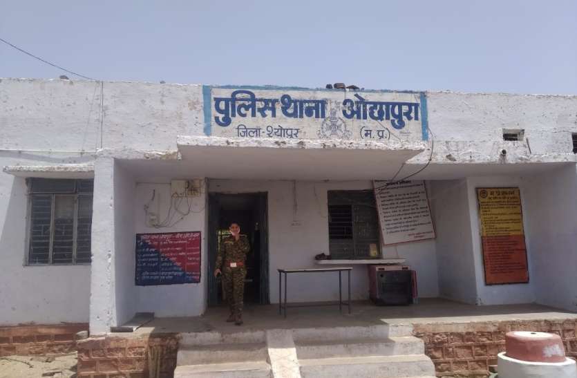 आम के पेड़ पर चढ़ा युवक डाली टूटने से नीचे गिरा,मौत आम के पेड़ पर चढ़ा युवक डाली टूटने से नीचे गिरा,मौत