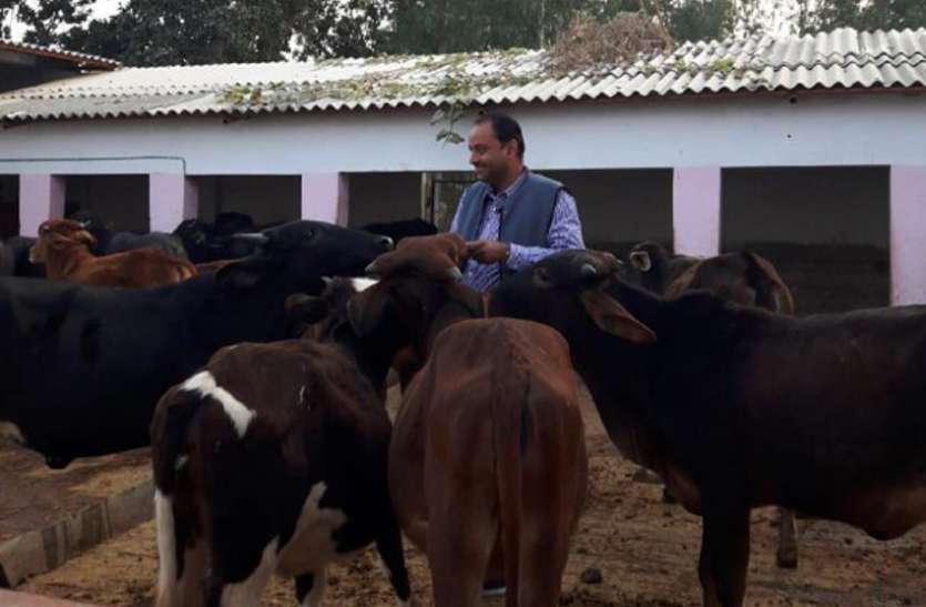 rewa विश्व दुग्ध दिवस : एक डेयरी की सफलता देख पूरा गांव दुग्ध उत्पादन का बन रहा मॉडल, सफलता की ऐसी है कहानी