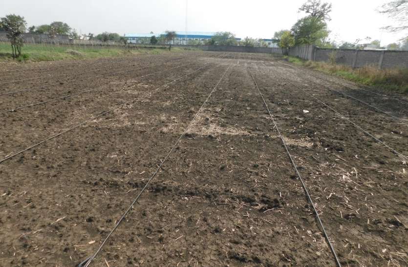 Kharif crop sowing completed खरीफ फसल की बोवनी का कार्य हुआ पूरा