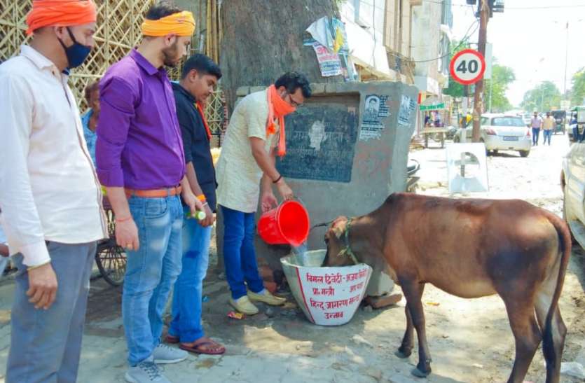 अनलॉक का पहला दिन - हिंदू जागरण मंच ने बेजुबान पशु पक्षियों के लिए की बड़ी व्यवस्था अनलॉक का पहला दिन - हिंदू जागरण मंच ने बेजुबान पशु पक्षियों के लिए की बड़ी व्यवस्था