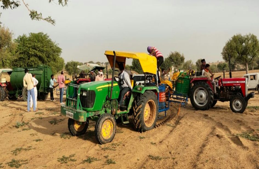 जगह-जगह टिडिडयां डाल रही डेरा, किसान परेशान जगह-जगह टिडिडयां डाल रही डेरा, किसान परेशान