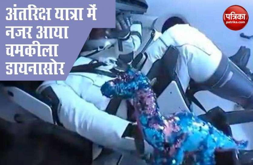 dianosor1.jpg SpaceX में एस्ट्रोनॉट्स के साथ छोटा डायनासोर देख लोग हुए हैरान, वायरल हो रहा वीडियो