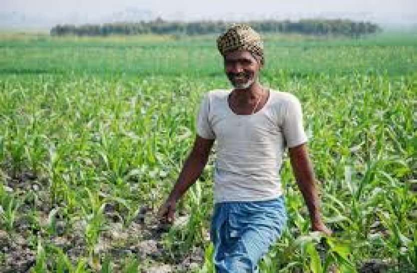 Farmer Getting Actual Price Of Their Crop लॉक डाउन और मौसम की मार से परेशान किसानों के लिए आई यह बड़ी खुशखबरी, जानकार खिलेंगे चेहरे
