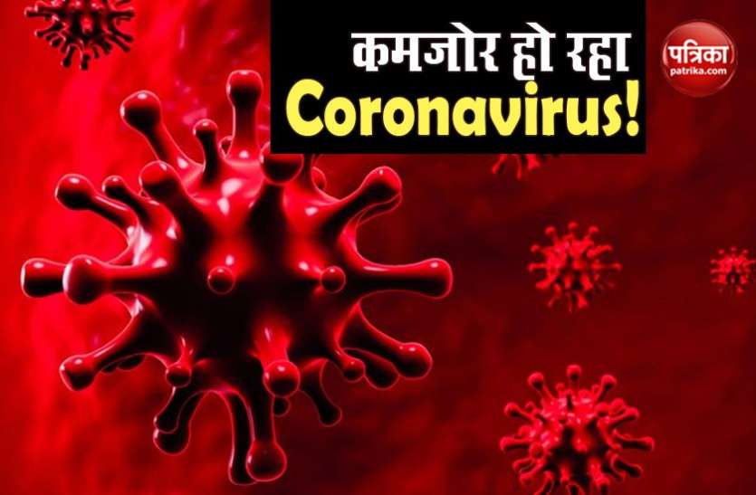 जूनागढ़ के डेप्युटी कंजर्वेटर फॉरेस्ट डॉ. एक के बरवाल ने कहा कि जूनागढ़ से लगभग एक घंटे की दूरी पर जंगल में वन विभाग की टीम सुबह गश्त कर रही थी। इसी दौरान इलाके से प्रसिद्ध धार्मिक स्थल दातार में उन्हें कुछ अजीब गंध आई। इस दौरान उन्होंने वहां जांच शुरू की तो एक अज्ञात व्यक्ति की लाश मिली। यह शव चबाया हुआ था। वन विभाग की टीम ने जूनागढ़ पुलिस को सूचना दी। ऐसे पुलिस ने समझा माजरा मौके पर पहुंची पुलिस ने शव कब्जे में लेकर आसपास तलाश शुरू की। इसी दौरान उन्हें लाश से कुछ ही दूरी पर एक तेंदुए की लाश मिली। भावनाथ थाने के सब इंस्पेक्टर एनके वाजा ने बताया कि जब उन्होंने अज्ञात लाश की तलाशी ली तो एक जहर की शीशी भी मिली। पुलिस को माजरा समझने में देरी न लगी। शव खाने के कुछ ही मिनटों में तेंदुए की भी मौत एनके वाजा ने बताया कि शख्स की मौत जहर खाकर हुई थी। तेंदुए ने शव को चबाया, जिसके कारण जहर का असर उसके शरीर पर भी हुआ और उसकी भी मौत हो गई। तेंदुए का शव व्यक्ति के शव के बहुत करीब पाया गया है इसलिए माना जा रहा है कि शव को चबाने के कुछ ही मिनटों में तेंदुए ने दम तोड़ दिया। इटली डॉक्टर का दावा, कमजोर पड़ गया Coronavirus, WHO ने तुरंत जारी कर दी चेतावनी