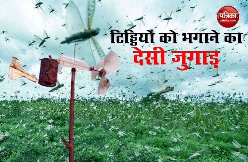 This Desi टिड्डी भगाने के लिए किसान ने निकाला देसी जुगाड़, वायरल हुआ Video