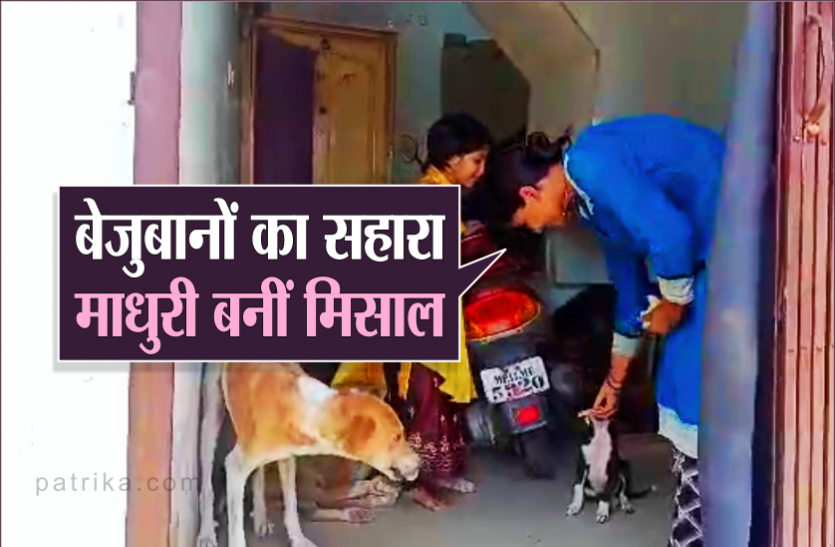 01_1.png खुद बेसहारा होकर बनीं दूसरों का सहारा, भूखीं रहकर कुत्तों को खिला रहीं खाना