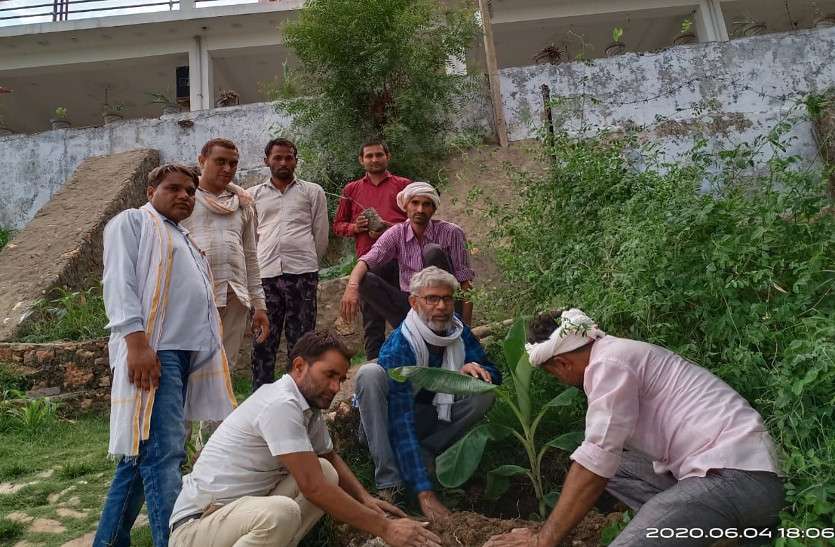 पौधो रोंप कर लिया सुरक्षा का संकल्प, 501 पौधे रौंपे योग दिवस पर जिले भर में बांटी गिलोय की कलम