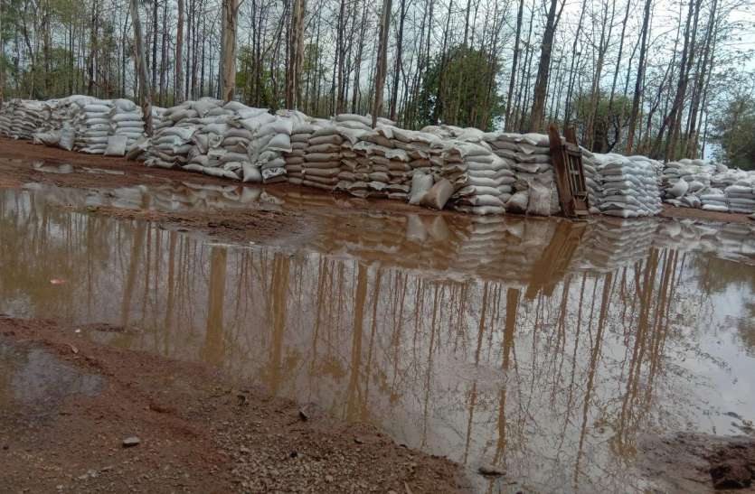 Wheat worth twelve crores ruined due to rain अफसरों की गंभीर बेपरवाही: हजारों क्विंटल गेहूं बारिश में भीगकर हुआ खराब, सरकार को करोड़ों की चपत, देखें वीडियो