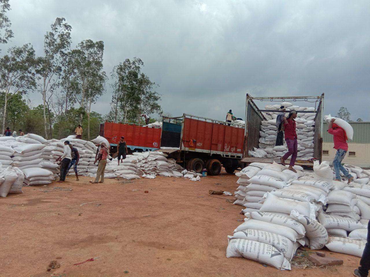 Wheat worth twelve crores ruined due to rain