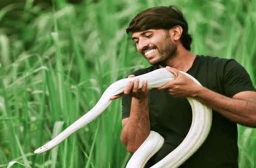 white_python.jpg घर से पकड़ा दुर्लभ प्रजाति का सफेद अजगर
