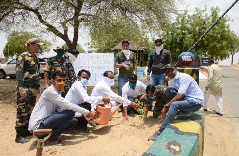 plantation at indo pak boarder बॉर्डर पर पौधरोपण का आगाज, जवानों ने लिया रक्षा का संकल्प