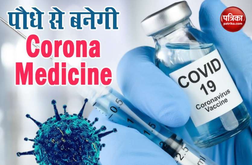 coronavirus Medicine Coronavirus Drug पर Sun Pharma को बड़ी कामयाबी, Clinical Trial के लिए मिली मंजूरी