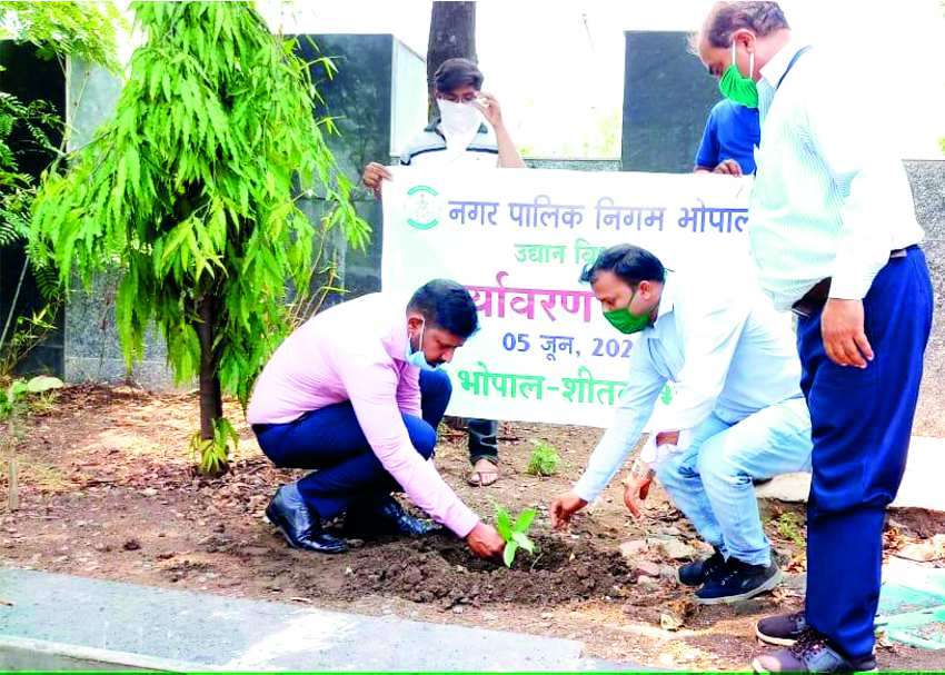 संगठनों ने रोपी हरियाली, बोले- पेड़-पौधों से ही सुरक्षित रहेगी हमारी पृथ्वी