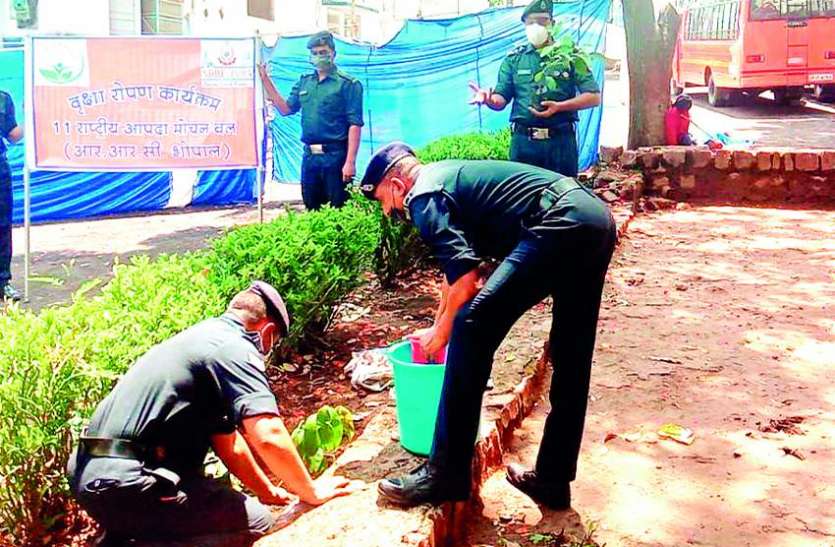 tree plantation campaign in bhopal संगठनों ने रोपी हरियाली, बोले- पेड़-पौधों से ही सुरक्षित रहेगी हमारी पृथ्वी