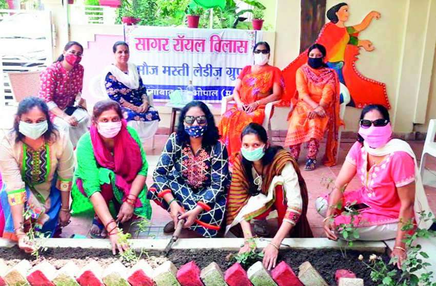 संगठनों ने रोपी हरियाली, बोले- पेड़-पौधों से ही सुरक्षित रहेगी हमारी पृथ्वी