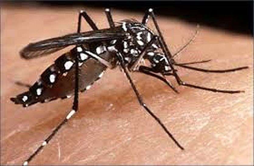 Malaria dengue and chikungunya fear now with corona infection in bhilwara मलेरिया की चपेट में छिंदवाड़ा का यह क्षेत्र, जानें स्थिति