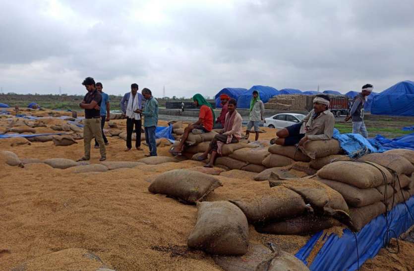 Managing Director Narhari serious about payment of farmers किसानों के भुगतान को लेकर प्रबंध संचालक नरहरि गंभीर, स्वीकृति पत्रक में विलंब पर जताया असंतोष