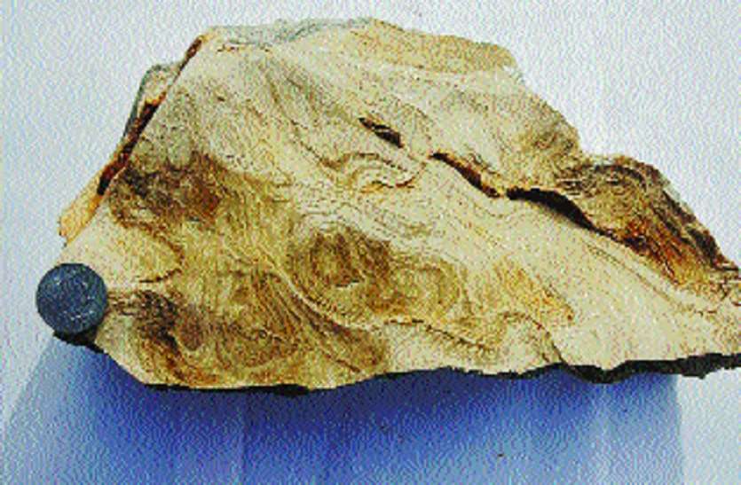 Many layers of human arrival are hidden in these layers of earth millions of years old करोड़ों वर्ष पुरानी धरती की इन परतों में मनुष्य आगमन के कई राज छुपे