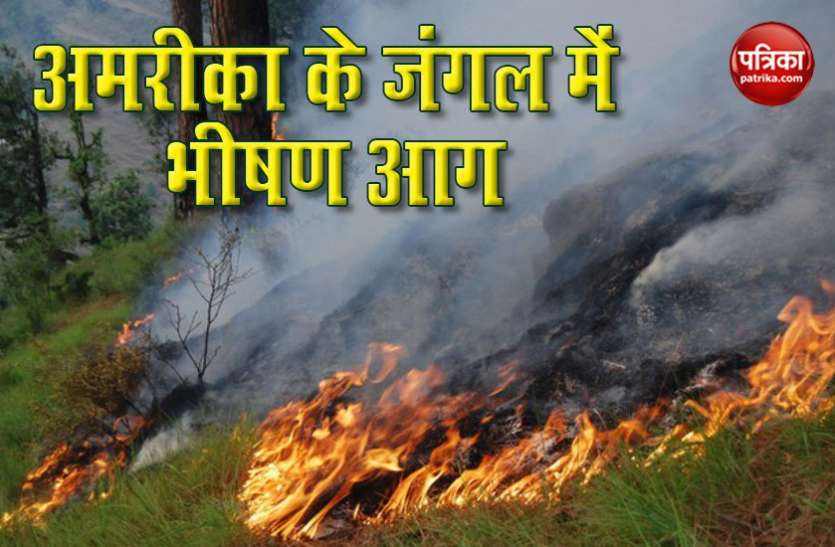 america America: Corona संकट के बीच कैलिफोर्निया और एरिजोना के जंगलों में भीषण आग, 14 हजार एकड़ जंगल खाक
