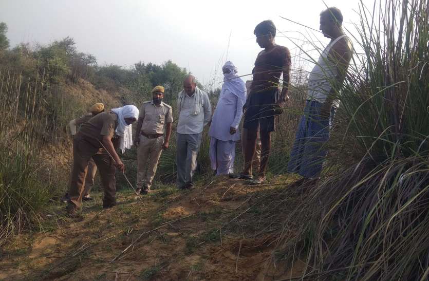 बघेरे ने मवेशी का किया शिकार, शावक के भी मिले पदमार्ग बघेरे ने मवेशी का किया शिकार, शावक के भी मिले पदमार्ग