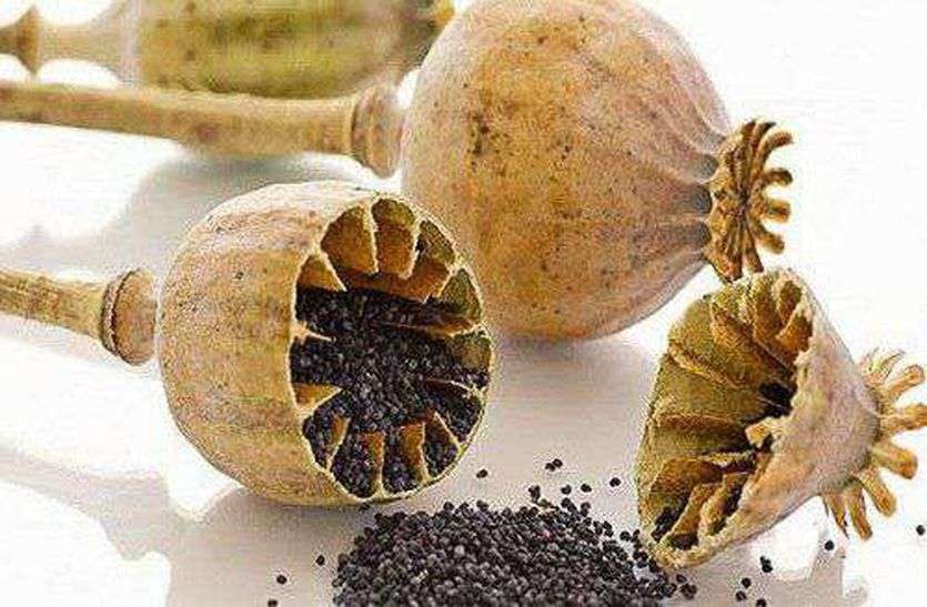 When police came to see, they ran away from the van, found the drug de पुलिस नजर आई तो वैन छोड़ भागा, तलाशी में मिल गया नशे का सौदा
