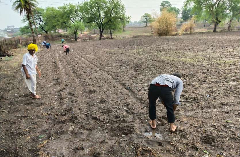 बारिश के बाद किसानों ने शुरू की बोवनी बारिश के बाद किसानों ने शुरू की बोवनी