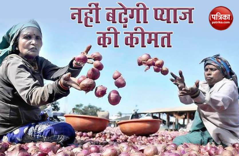 Onion Buffer Stock Good News : इस साल Onion Price में नहीं होगा इजाफा, Govt ने बनाया कुछ इस तरह का Plan