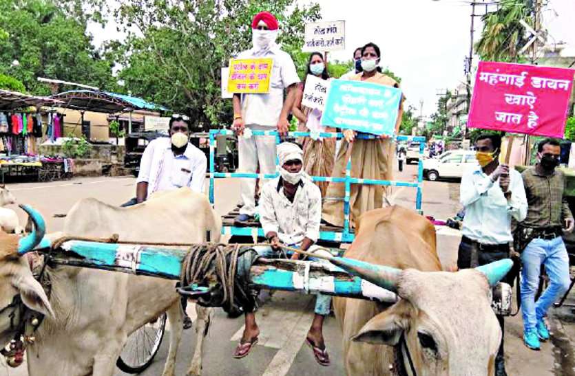 Congress holds rally in bullock cart in protest against Center's policies केंद्र की नीतियों के विरोध में कांग्रेस ने बैलगाड़ी में रैली निकाल किया अनूठा प्रदर्शन ...