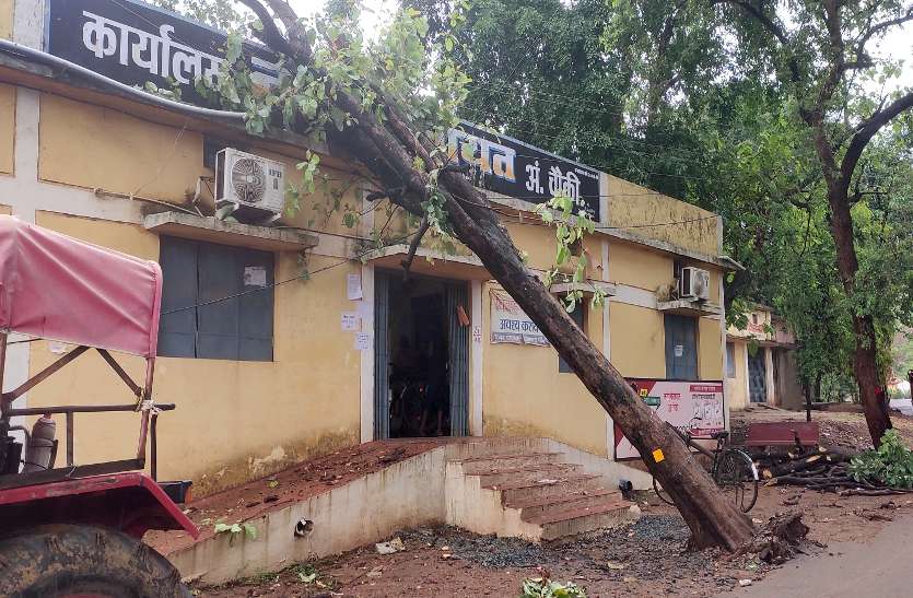 Rain Showers fell on the wall of the school boundary and the tree fell in the government office झमाझम बारिश से गिरी स्कूल के बाउंड्री की दीवार और सरकारी कार्यालय में गिरा सालों पुराना पेड़ ...