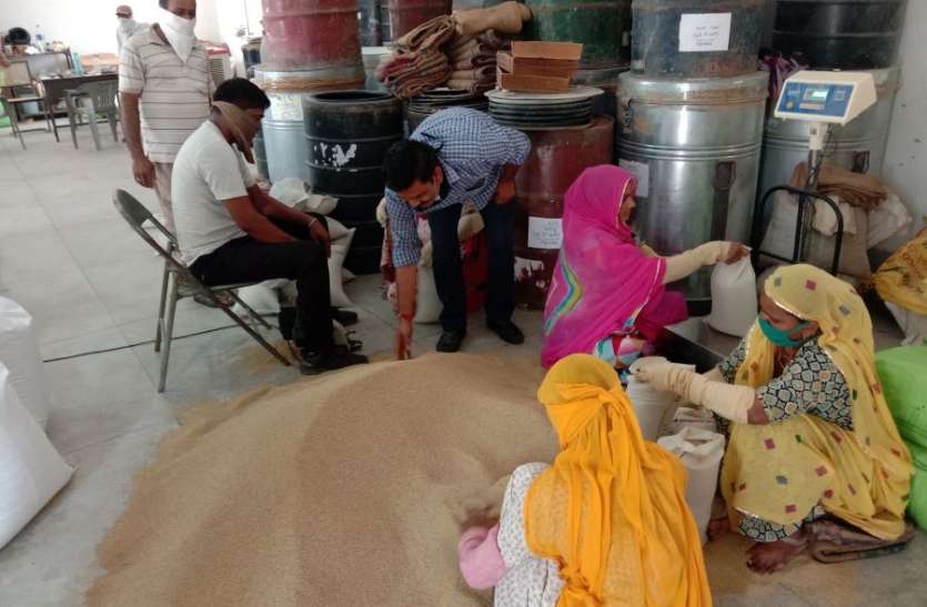 कोरोना इफेक्ट: 30 क्विं कम हुआ उत्पादन, किसानों को नहीं मिल रहे बाजरा के बीज कोरोना इफेक्ट: 30 क्विं कम हुआ उत्पादन, किसानों को नहीं मिल रहे बाजरा के बीज