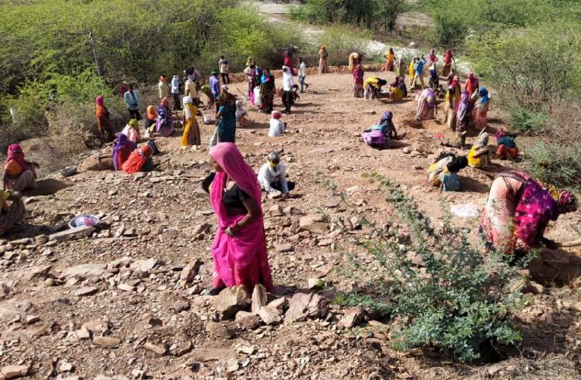 मनरेगा में महिलाओं की बढ़ी भागीदारी, पुरुष रह गए गिनती के मनरेगा में महिलाओं की बढ़ी भागीदारी, पुरुष रह गए गिनती के