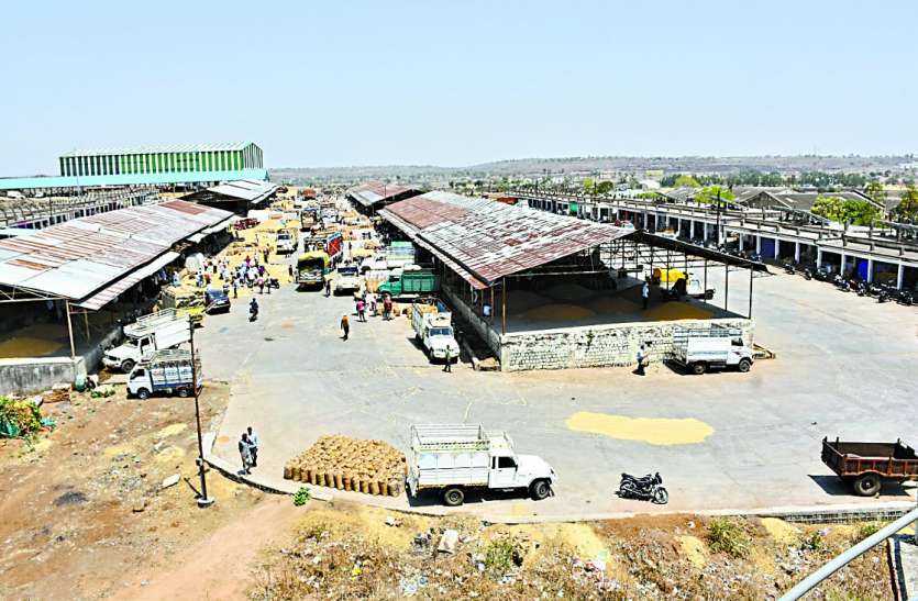 Mandi employees worried over privatization over wheat, corn गेहूं, मक्का से ज्यादा निजीकरण की चिंता में डूबे मण्डी कर्मचारी