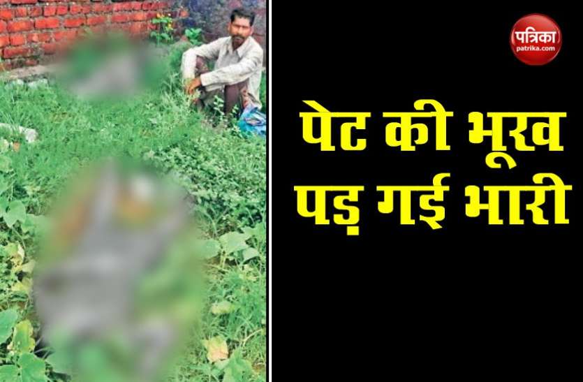 बच्चों की जिद पर मां-बेटी दीवार फांदकर तोड़ने गई थी सब्जी, वहां लगा था करंट, हाथ में कद्दू व तोरी लिए तोड़ा दम बच्चों की जिद पर मां-बेटी दीवार फांदकर तोड़ने गई थी सब्जी, वहां लगा था करंट, हाथ में कद्दू व तोरी लिए तोड़ा दम