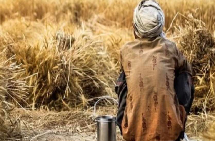 straw.jpg भूसा बैंक में भूसे के सुरक्षित भण्डारण की व्यवस्थाएं की जाएं : योगी आदित्यनाथ