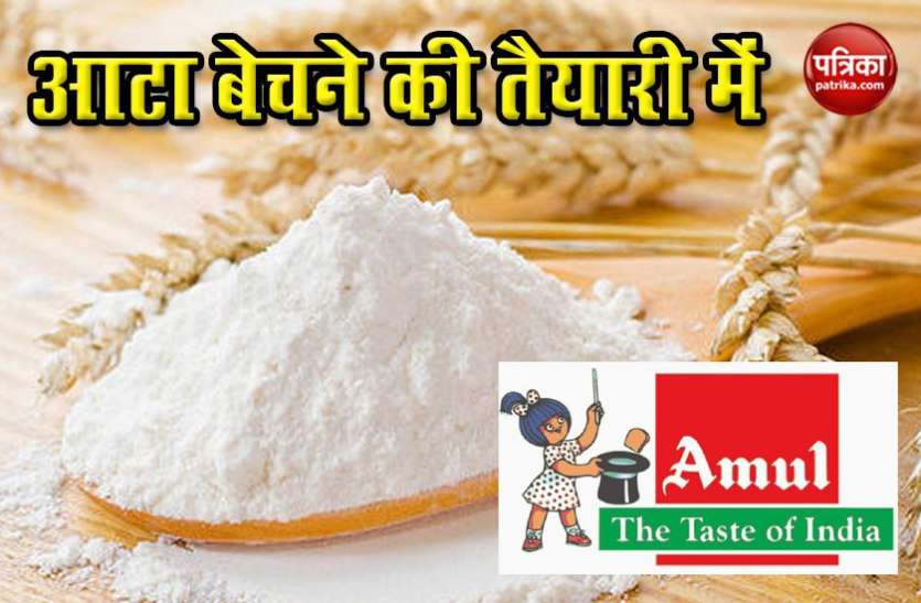 amul aata दूध, दही के बाद आटा बेचने की तैयारी में Amul, आशीर्वाद से लेकर Fortune को मिलेगी टक्कर