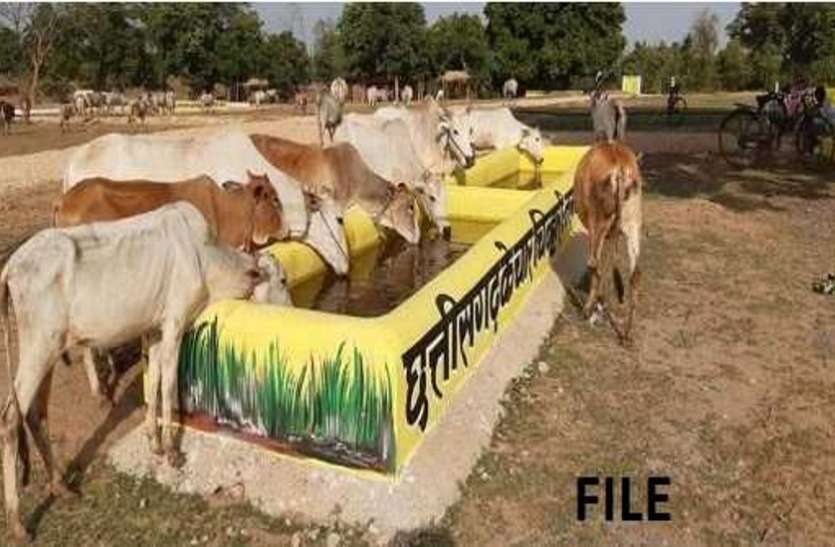 , 12 हजार किलो गोबर की खरीदी, खाद का मानक जांचने लैब नहीं