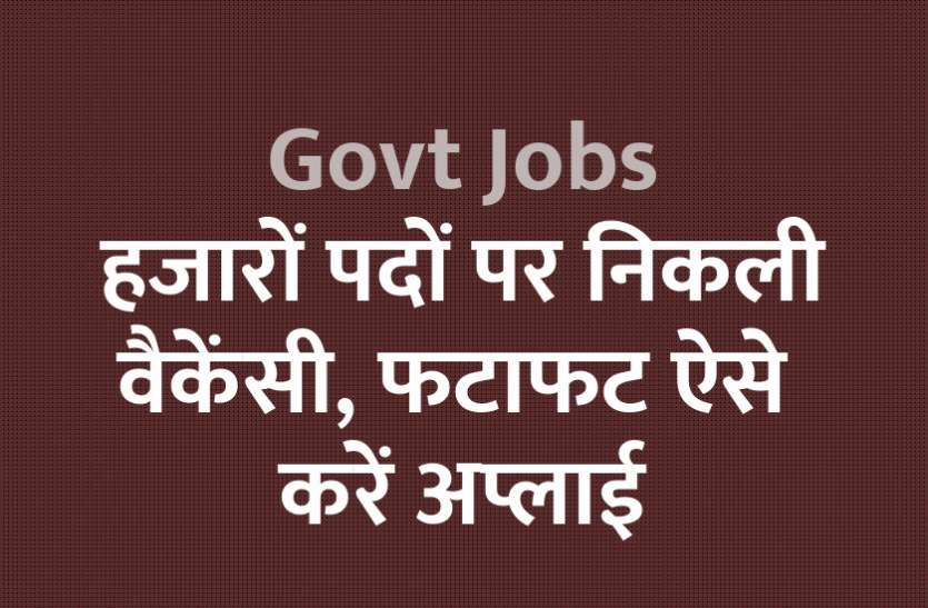 govt jobs in hindi, govt jobs, govt jobs 2019, Government Job 2019, Sarkari Naukri 2019, Latest Government job, sarkari jobs, 10th pass govt jobs, 12th pass govt jobs, सरकारी नौकरी, सरकारी नौकरी 2019, rojgar samachar, employment news in hindi, rojgar samachar in hindi, upsc jobs in hindi, 10th pass govt jobs 2019, UPSC, government jobs, UPSC exam, Sarkari Naukri, latest government jobs, jobs in hindi, latest jobs news, UPSC Jobs, upsc vacancy, Govt Jobs: 2000 पदों पर निकली वैकेंसी, फटाफट यूं करें अप्लाई