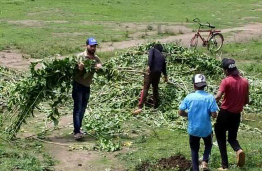 एक साल के प्रयास में हो गए फेल, नहीं मानी हार, धरती को हरा भरा करने लिया यह संकल्प एक साल के प्रयास में हो गए फेल, नहीं मानी हार, धरती को हरा भरा करने लिया यह संकल्प