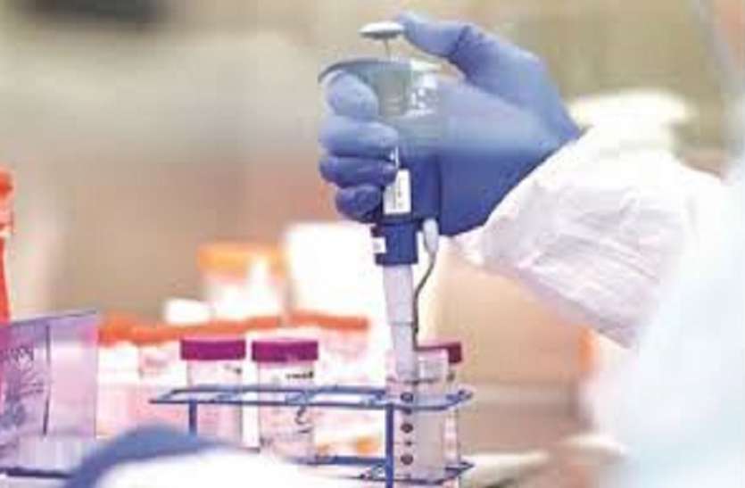 लैब टैक्निशियन भर्ती: 2020 अंतिम वर्ष के छात्रों को भर्ती प्रक्रिया में शामिल करने के निर्देश लैब टैक्निशियन भर्ती: 2020 अंतिम वर्ष के छात्रों को भर्ती प्रक्रिया में शामिल करने के निर्देश