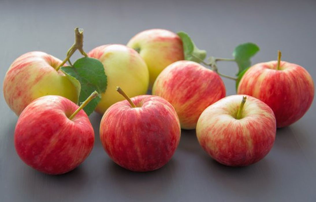 फेफड़ों की बीमारी से निजात चाहते हैं तो खाएं सेब