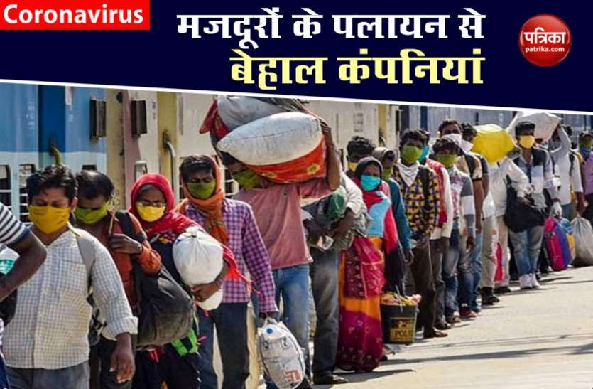 migrant labours पैदल जाने को मजबूर मजदूरों को वापस बुला रही कंपनियां, आने के लिए दे रही है फ्लाइट टिकट