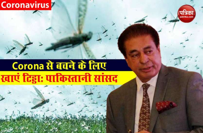 Riyaz Fatayana पाकिस्तानी सांसद ने बताया Corona का अजीबो-गरीब इलाज, कहा- टिड्डों को खाने से ठीक होते हैं संक्रमित मरीज