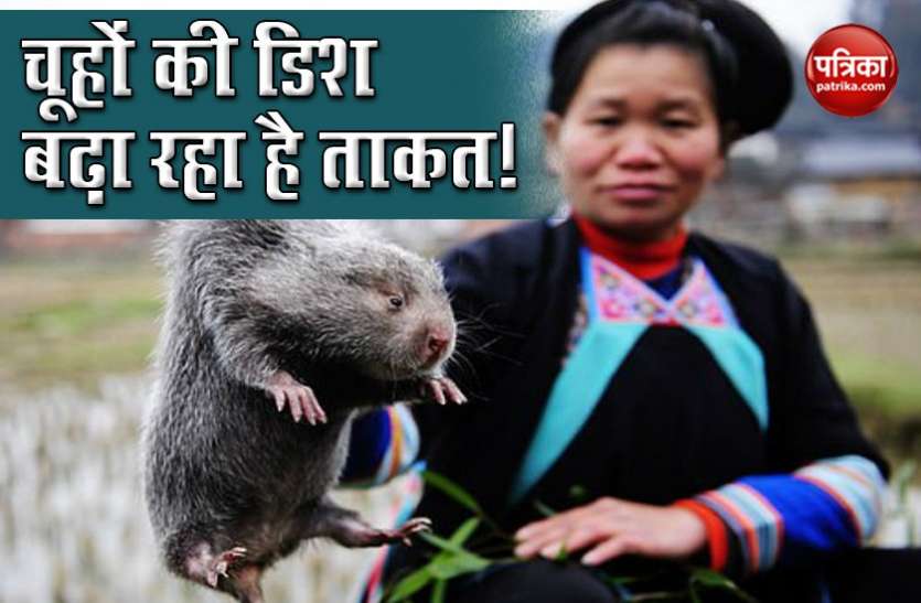 5 किलो वजन वाले डेढ़ फुट के बैम्बू रेट्स है चीन की पसंदीदा डिश, Coronavirus से लड़ने के लिए बढ़ाता है ताकत 5 किलो वजन वाले डेढ़ फुट के बैम्बू रेट्स है चीन की पसंदीदा डिश, Coronavirus से लड़ने के लिए बढ़ाता है ताकत