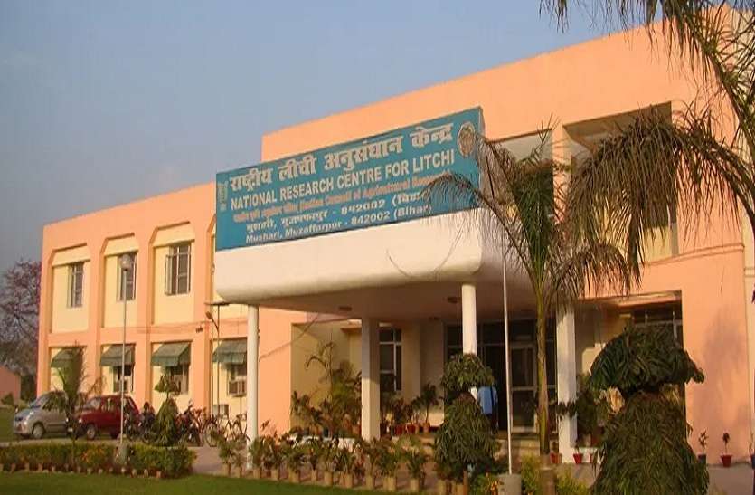 लीची के छिलकों और पत्तों से अब लहलहाएगीं फसलें लीची के छिलकों और पत्तों से अब लहलहाएगीं फसलें