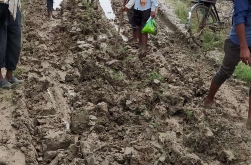 After independence, 5 km of pucca road is in trouble, muddy road villa आजादी बाद भी 5 किलोमीटर पक्की सडक़ की आस, कीचडय़ुक्त सडक़ ग्रामीणों की मुसीबत