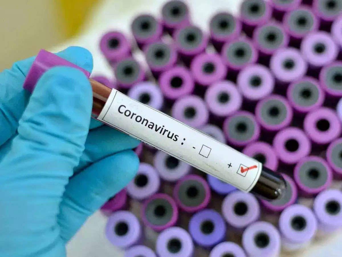 Coronavirus In Raigarh: 3 New COVID-19 Cases In Raigarh District Of CG -  Coronavirus in Raigarh: आधी रात रायगढ़ में मिले तीन कोरोना मरीज, संक्रमितों  में 2 महिला, एक पुरुष | Patrika News