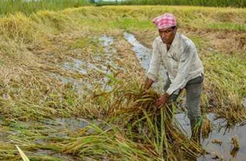 चक्रवाती तूफानः फसल को हुए नुकसान का आकलन को ममता सरकार का नया तरकीब चक्रवाती तूफानः फसल को हुए नुकसान का आकलन को ममता सरकार का नया तरकीब