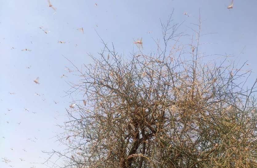 ... यंहा पाकिस्तान से लगातार आ रही आसमानी आफत ! ... यंहा पाकिस्तान से लगातार आ रही आसमानी आफत !
