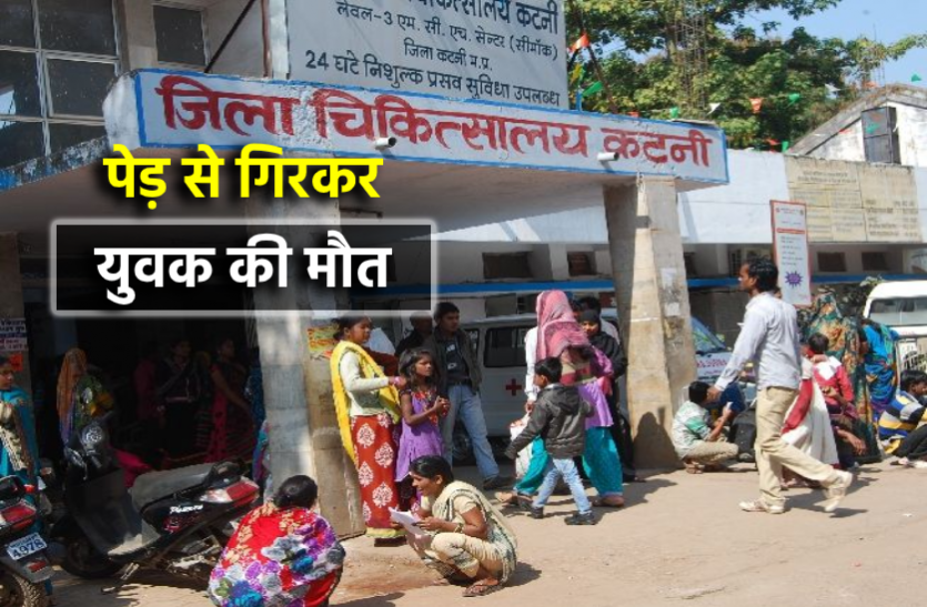 katni_yuvak.png VIDEO: जामुन तोड़ने पेड़ पर चढ़ा युवक, नीचे गिरने से मौत